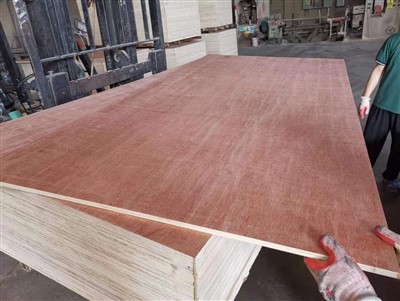 Plywood Bintangor Core Poplar Sħiħ