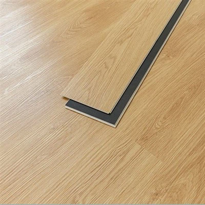 Art SPC bil-kuxxinett tar-ragħwa